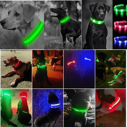 Pawzioo™ High-Brightness LED Dog Collar – Durable & Rechargeable